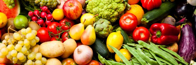 Quienes Somos,Mi Tierrita Bella